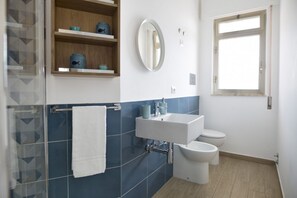 Shower, hair dryer, bidet, towels