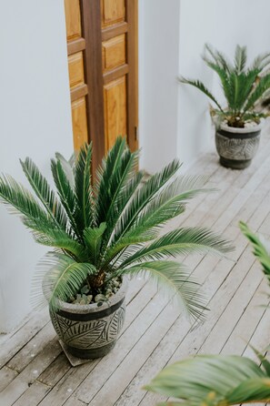 Exterior - Lanussa Hill Villa (Lembongan Island)