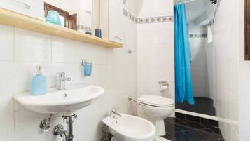 Shower, hair dryer, bidet, towels