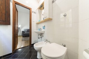 Shower, hair dryer, bidet, towels