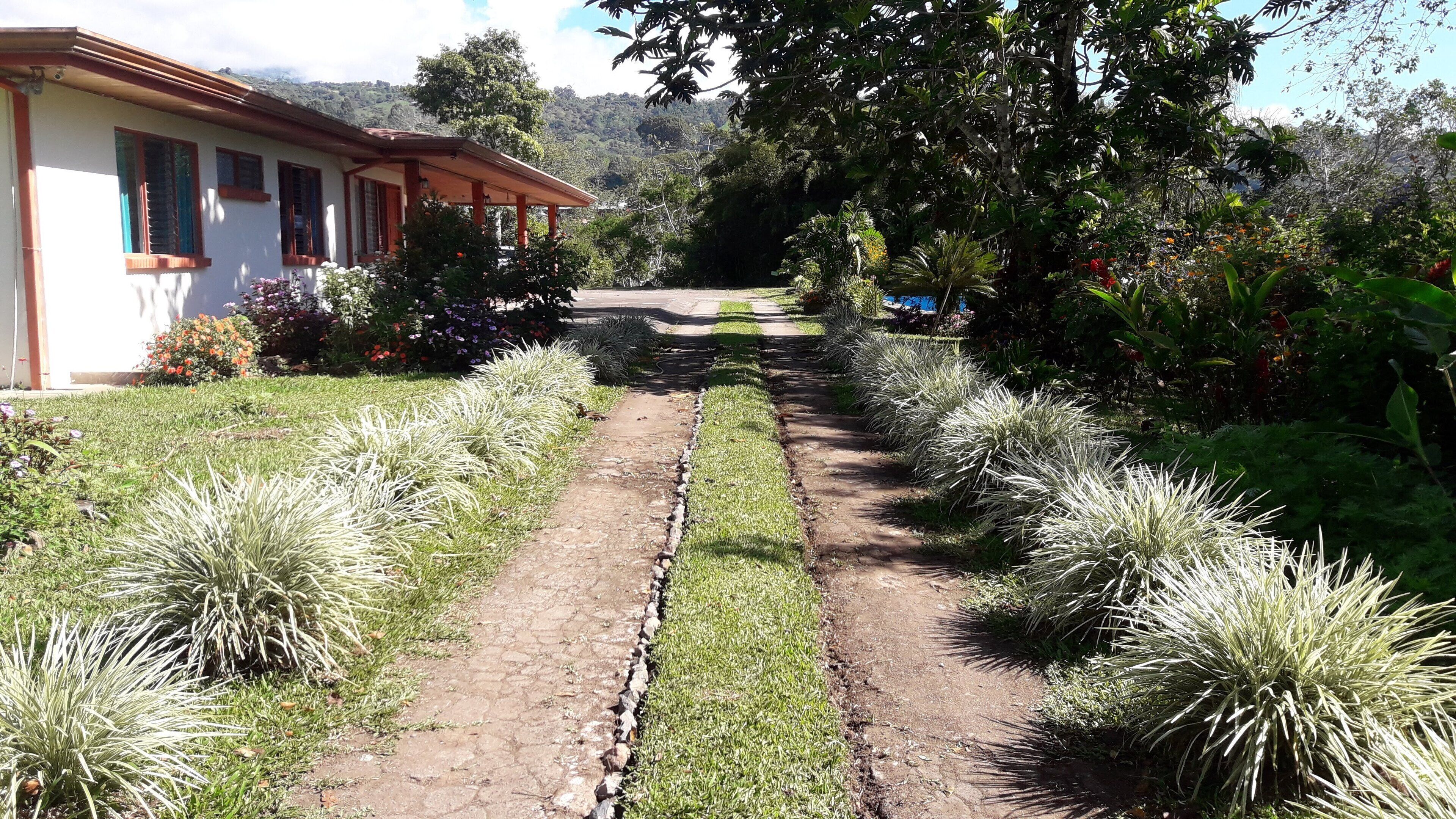 Taman