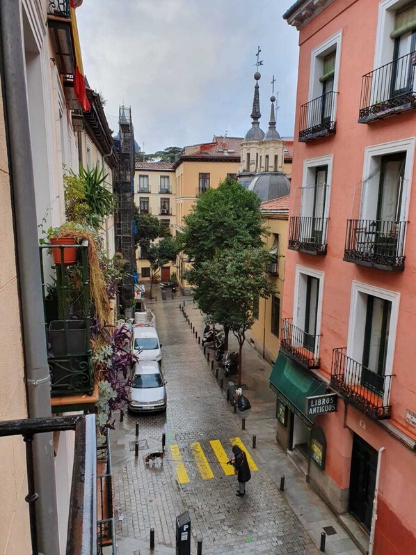 A narrow street with buildings on either side, a tree in the middle, and a sign for 'LIBROS ANTIGUOS'.