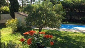 A potted plant with orange flowers on a ledge. - Villa with swimming pool in Pertuis Sud Luberon in Provence (Pertuis)