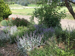 Property grounds - Cozy & Quaint 3 Bedroom Suite (Lake Country)