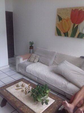 Fernseher