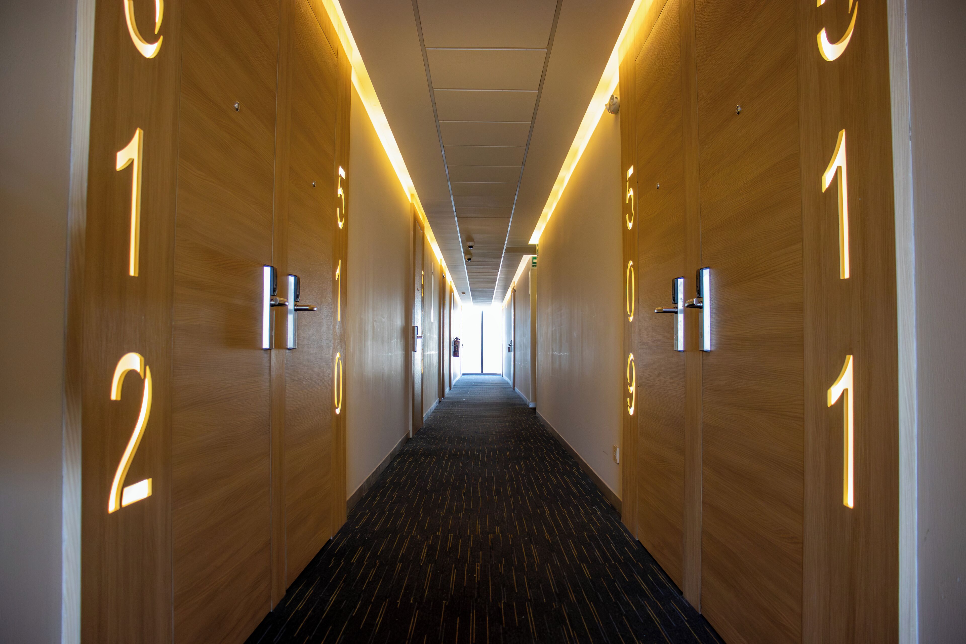 Foto - Hotel Kavia Monterrey