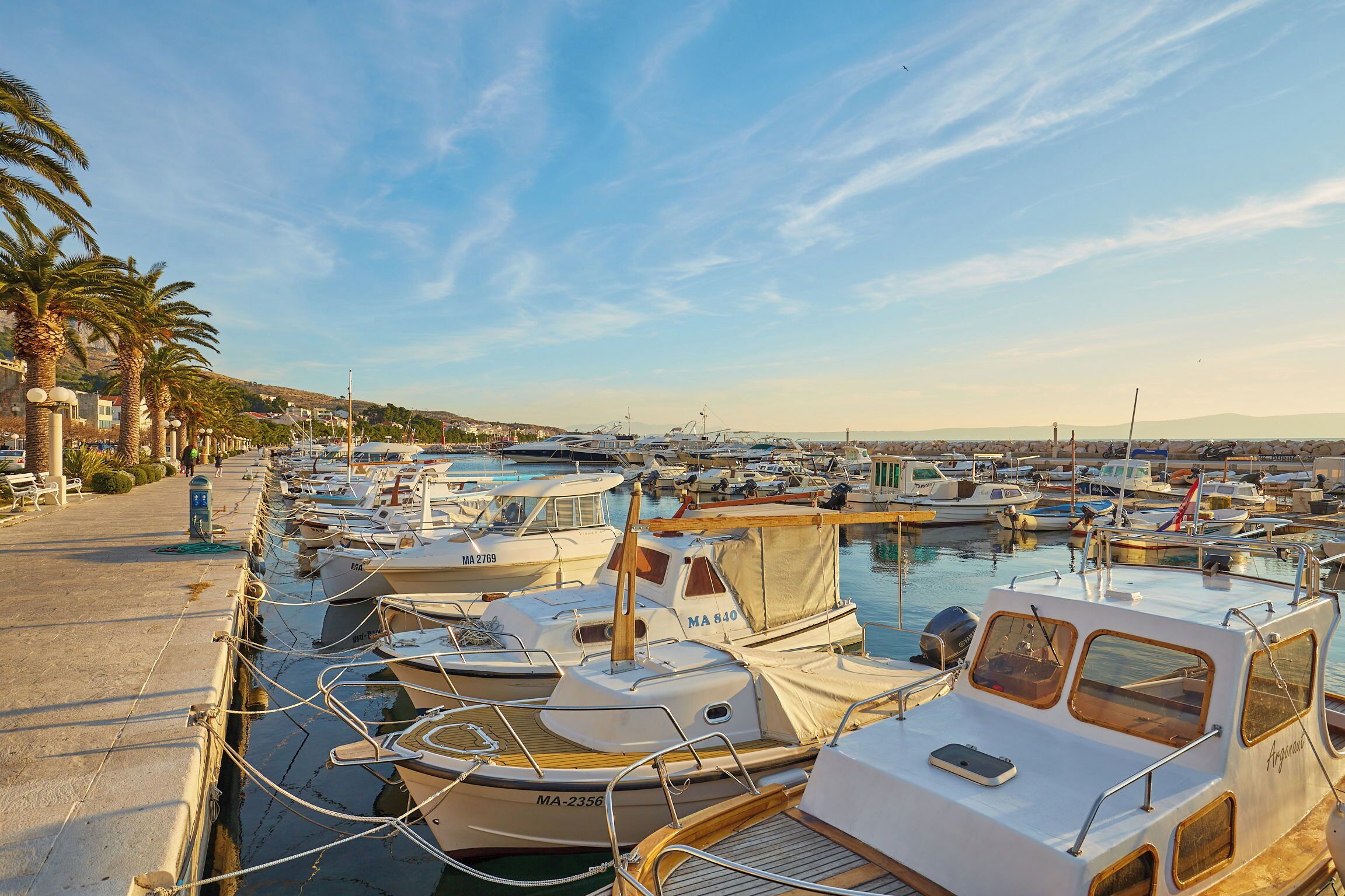 A marina with several boats docked, a clear sky, and palm trees along the waterfront.