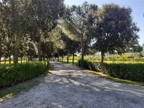 Jardines del alojamiento