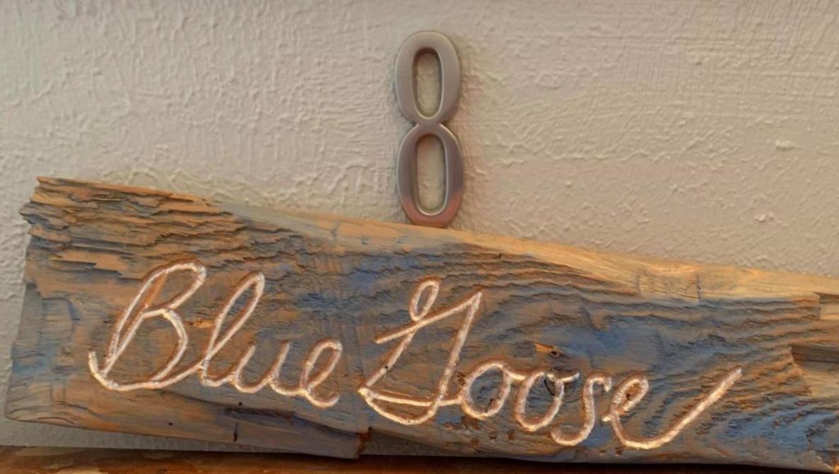 A wooden sign with the text "Blue Loose" and a number "8" above it.