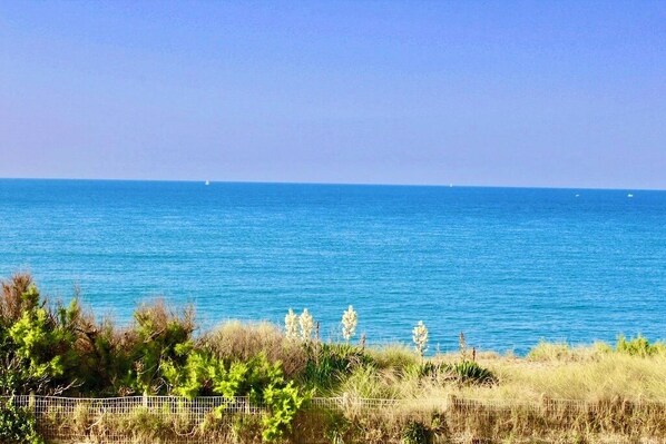 Miscellaneous - SEAFRONT, Magnificent 180° Sea View, High Standard, Garden and Private Parking (Barneville Carteret)