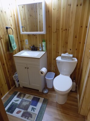 Combined shower/bathtub, hair dryer, towels, toilet paper