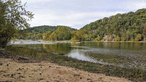 Una playa arenosa con un lago tranquilo rodeado de un bosque denso.