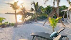 A beach with lounge chairs and a palm tree. - Beachfront CASA PAAMUL Riviera Maya-Tulum (Paamul)