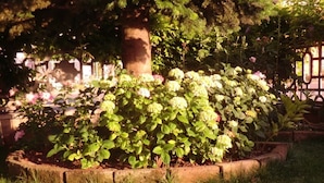 Photo non classée, 3 sur 4, bouton