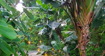 Wow ONLY 8 bed HOUSE 8MILE SJU Airport beach Corporate Team Wedding Dest Groups