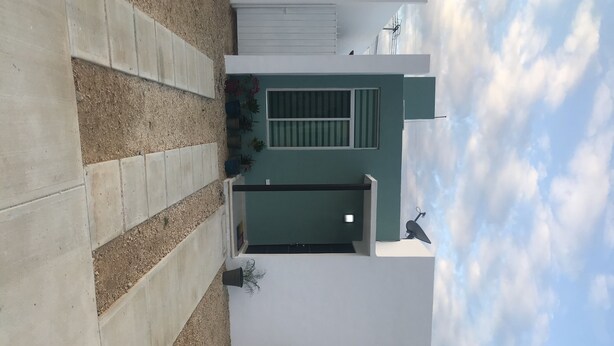 Un bâtiment moderne avec une porte verte, une antenne parabolique et un pot de fleurs.