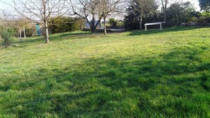Un espace extérieur verdoyant, avec des arbres, un banc et une poubelle verte.