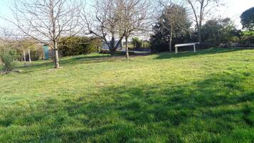 A grassy outdoor area with trees, a bench, and a green trash bin.
