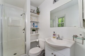 Shower, hair dryer, towels, soap - Serene Cave in Stafford, Va (Stafford Courthouse)