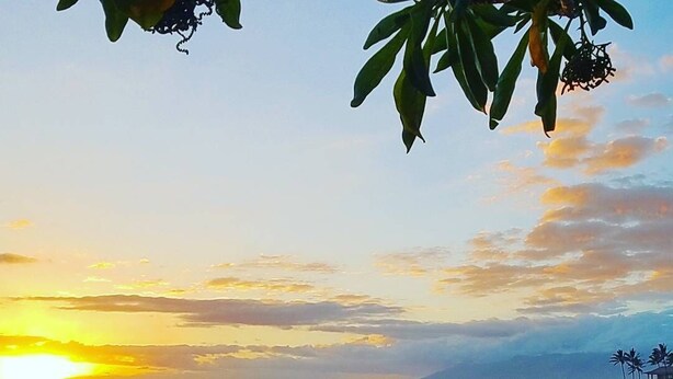 A beach with footprints in the sand, a sunset, and palm trees in the background. - Ocean‑View at Island Surf- Walk to Beaches, Surfing, Shops, Dining & Kalama Park (Kihei)