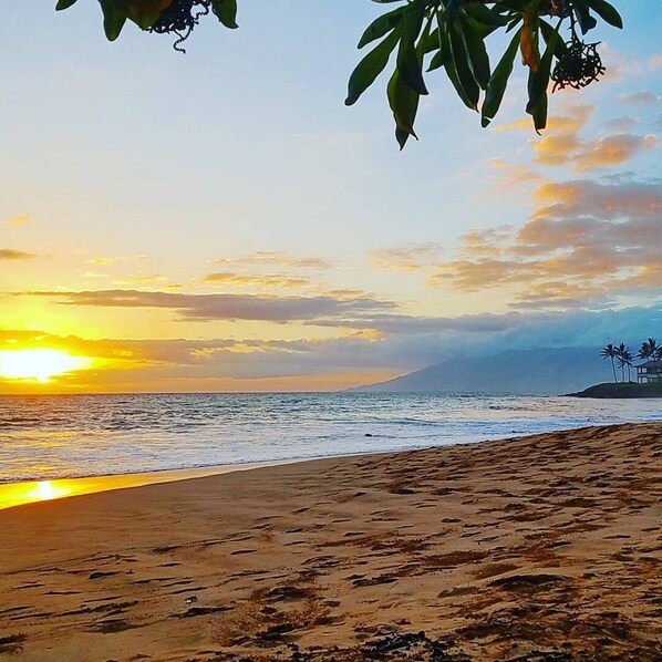 Beach nearby, sun-loungers, beach towels