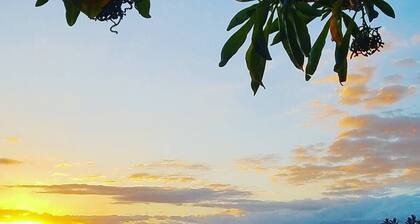 Island Surf with Ocean View - Across from popular Surf spot, Beach, and Shops