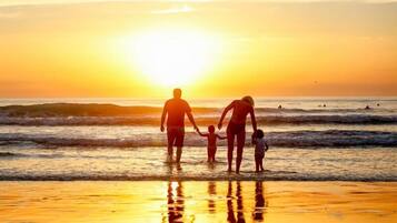 在海灘附近、躺椅