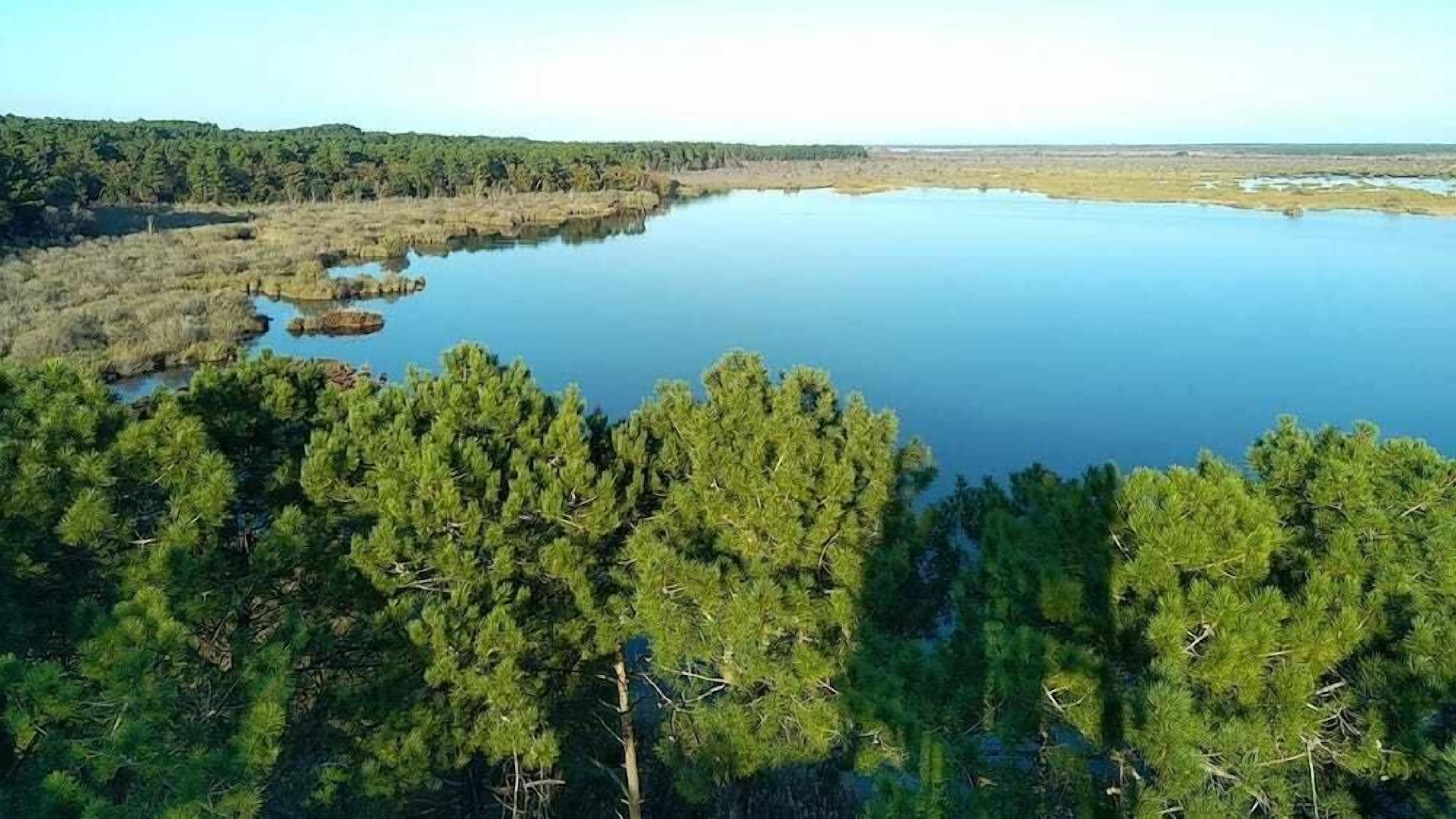 Een uitgestrekt wateroppervlak omringd door dicht groen bos.