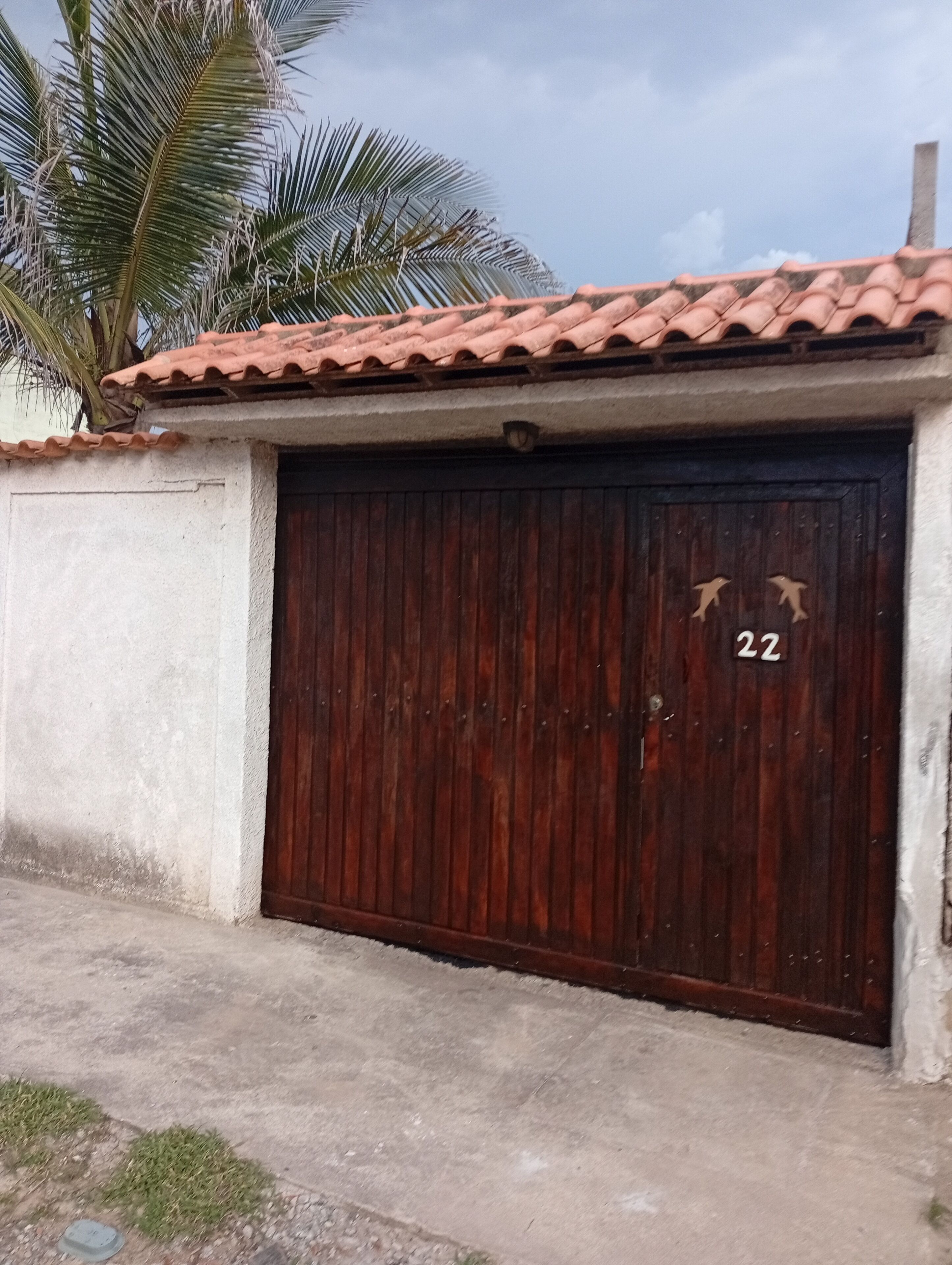 Une porte de garage en bois fermée, portant le numéro 22, un mur en béton et un palmier en arrière-plan.