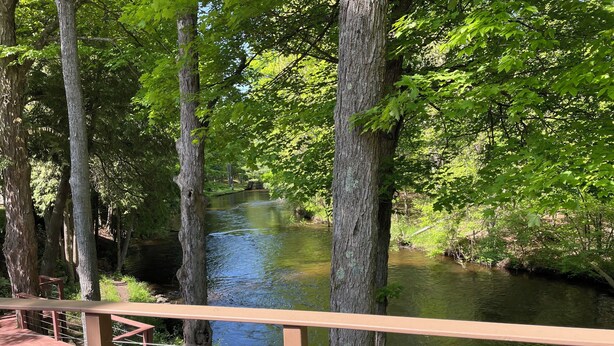 A wooden deck overlooking a river surrounded by trees. - Beautiful Cabin with Gorgeous Riverbend View. Great for relaxation and fishing! (Branch Township)