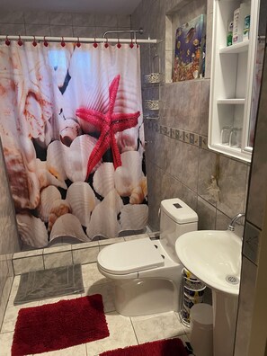 Shower, hair dryer, towels, soap