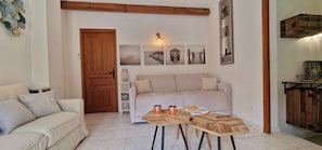 Televisión, chimenea y libros