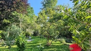 A lush garden with various trees and a small pond.