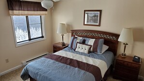 A bedroom with a large bed, two bedside tables with lamps, a ceiling fan, a window with a view of snow-covered trees, and a framed picture on the wall.