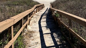 A wooden boardwalk leading to a beach with a clear blue sky.