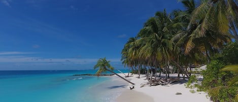 Privat strand, vit sandstrand, solstolar och parasoller
