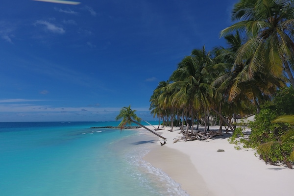 Private beach, white sand, sun-loungers, beach umbrellas