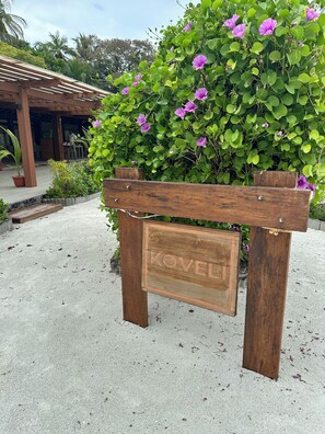 Daily buffet breakfast for a fee - Fiyavalhu Resort Maldives (Mandhoo)