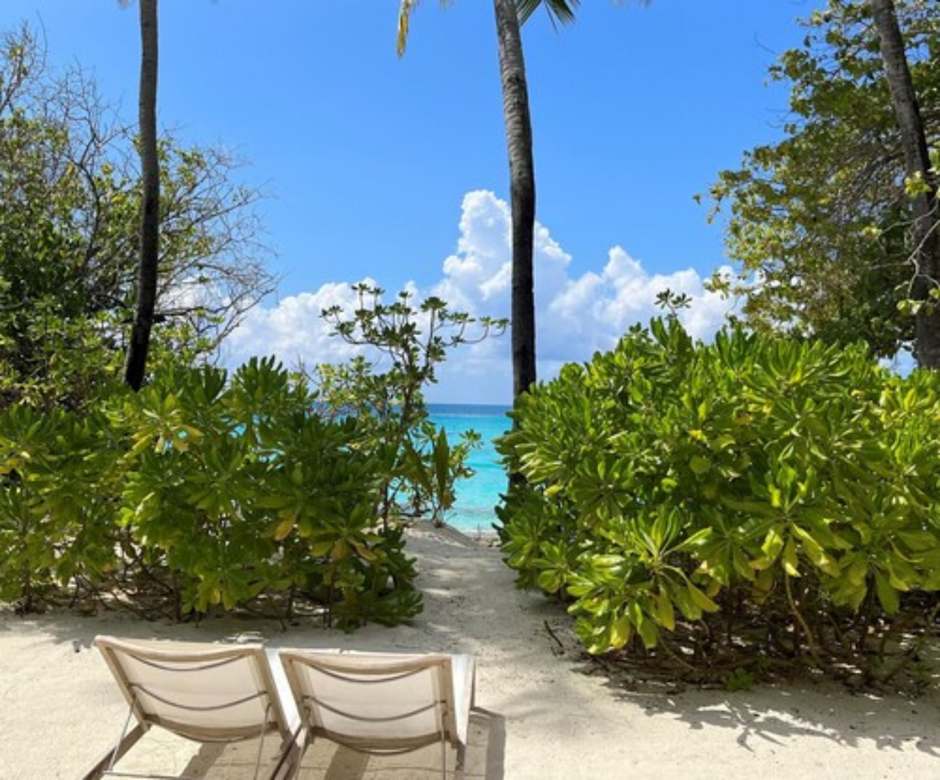 Un sentier qui mène à des chaises de plage offrant une vue sur une mer bleue et limpide, le tout entouré d’une végétation luxuriante.