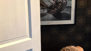 A room with a framed picture of a ship on a wall, a door, and a chair with a fur throw.