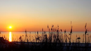 A sunset over a calm sea with tall grasses in the foreground. - Villa Lindell (Hoganas)