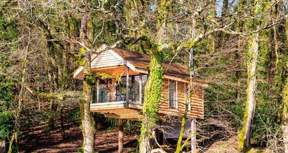 Kestävä ympäristöystävällinen, ruudukkoon puutalo