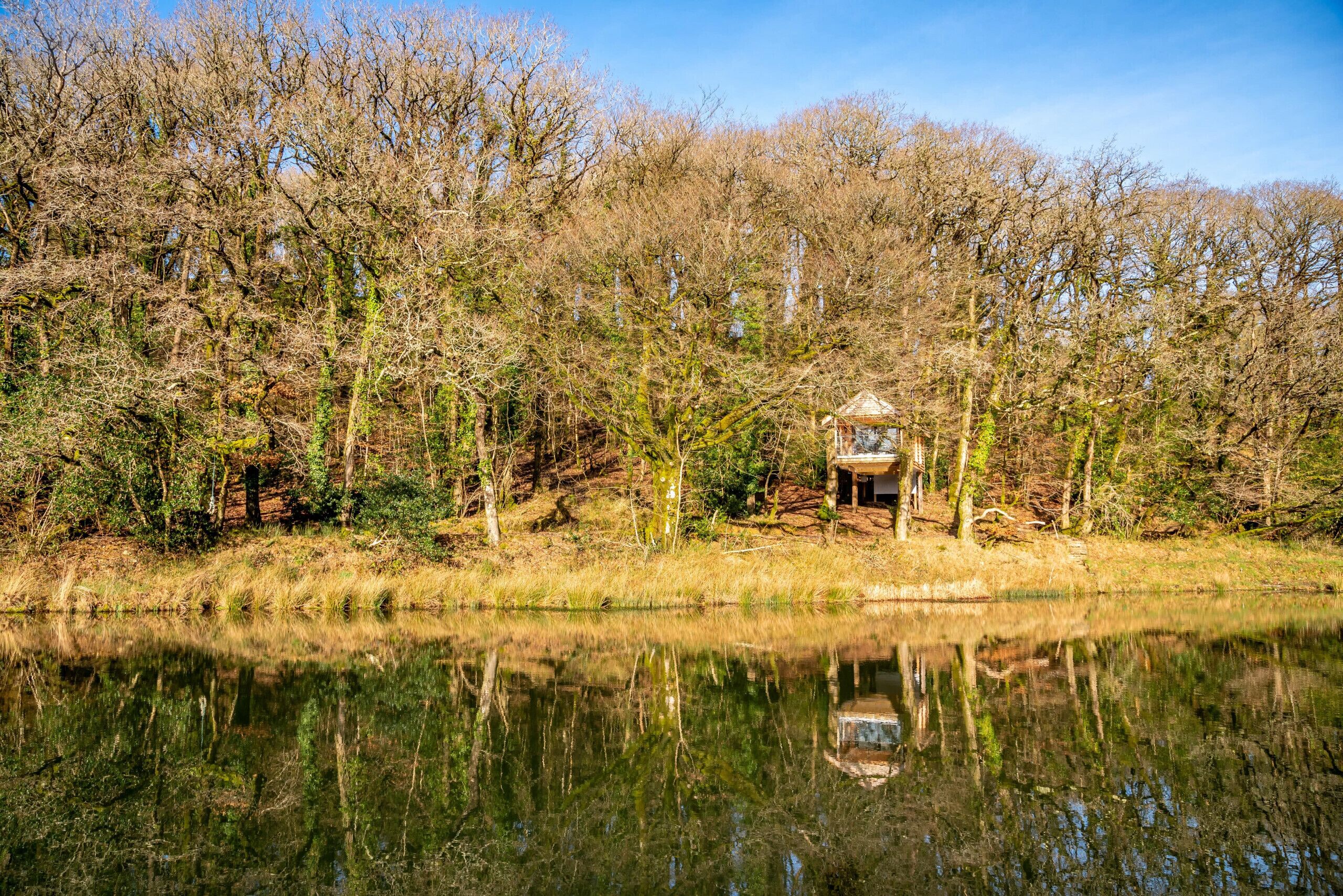 Uma cabana isolada à beira de um lago, rodeada por árvores.