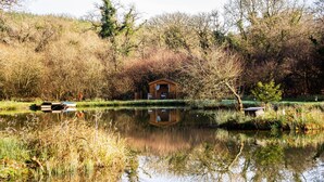 A cabin by a calm lake surrounded by dense trees.