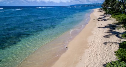 Zeitgenössisches Hawaii, das am ruhigen North Shore Beach lebt