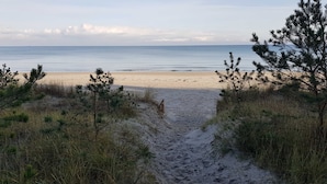 Un sendero bordeando la playa que lleva al océano, con vegetación escasa.