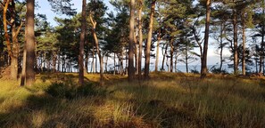 Photo non classée, 2 sur 29, bouton