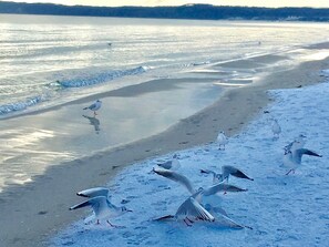 Ubicación cercana a la playa