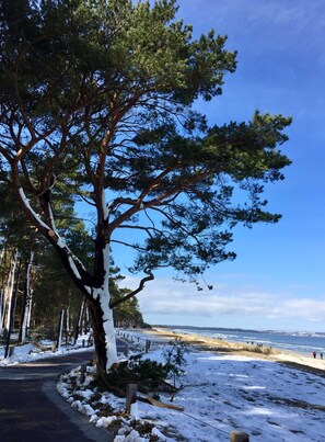 Photo non classée, 4 sur 29, bouton