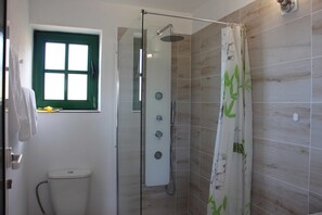 Shower, hair dryer, towels, soap
